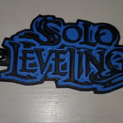 Solo Leveling Tag